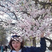 ���������� �����, ���� ������� ��������, 52 ����, ������������ ��� ������, ����� � ���������, c�������� ���������