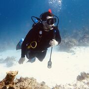 ���������� ������, ���� ������� �������, 33 ����, ������������ ��� ����� � ���������, c�������� ���������