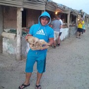 ���������� �����������, ���� ������� ������, 41 ���, ������������ ��� ������, ����� � ���������, c�������� ���������