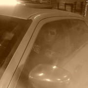 ���������� ������, ���� ������� ����, 33 ����, ������������ ��� ������, ����� � ���������, c�������� ���������