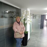  ,   , 53 ,   , 