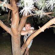 ���������� ����, ���� ������� ���, 47 ���, ������������ ��� ������, ���������