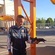 ���������� �������, ���� ������� �����, 43 ����, ������������ ��� ���������