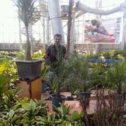 ���������� �������, ���� ������� ������, 39 ���, ������������ ��� ������, ����� � ���������, c�������� ���������