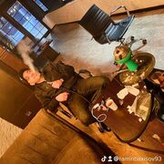 ���������� ����, ���� ������� ��� �����, 43 ����, ������������ ��� c�������� ���������