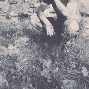 ���������� ������, ���� ������� David, 34 ����, ������������ ��� ������, ����� � ���������, c�������� ���������