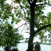 ���������� ����, ���� ������� ����, 35 ���, ������������ 