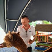 ���������� �������, ���� ������� ������, 52 ����, ������������ ��� ����� � ���������, c�������� ���������