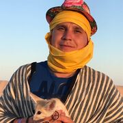 ���������� ������, ���� ������� ����, 40 ���, ������������ ��� ������, ����� � ���������, c�������� ���������, ���������