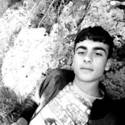  ,   Lion, 23 ,   ,   