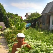  ,   , 58 ,   