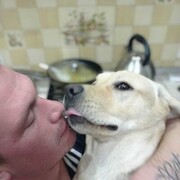 ���������� �����������, ���� ������� �������, 34 ����, ������������ ��� ����� � ���������, c�������� ���������