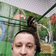  ,   , 42 ,   ,   , c , 