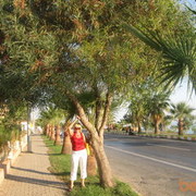 ���������� �������, ���� ������� Guppija, 55 ���, ������������ ��� ����� � ���������, c�������� ���������