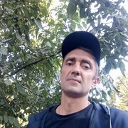  --,   , 44 ,   ,   