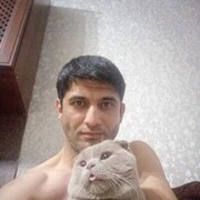 ���������� ���������, ���� ������� �����, 38 ���, ������������ ��� ������, ���������