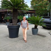 ���������� ���������, ���� ������� �����, 65 ���, ������������ ��� c�������� ���������