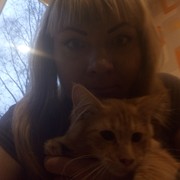 ���������� �����, ���� ������� ����, 40 ���, ������������ ��� ������, ����� � ���������, c�������� ���������