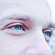 ���������� ����, ���� ������� ���������, 33 ����, ������������ 