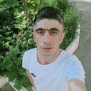  ,   Raccoo, 34 ,   ,   