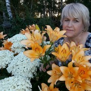 ���������� �����, ���� ������� ����, 72 ����, ������������ ��� ������, ����� � ���������, c�������� ���������