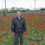  ,   , 55 ,   ,   , c 