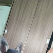 ���������� ����, ���� ������� ������, 28 ���, ������������ ��� ������, ����� � ���������