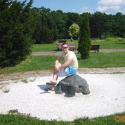 ���������� �����, ���� ������� C���, 43 ����, ������������ ��� ������, ����� � ���������, c�������� ���������