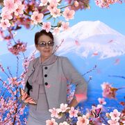 ���������� �����������, ���� ������� �������, 72 ����, ������������ ��� c�������� ���������, ���������