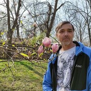  ,   , 50 ,   ,   , 