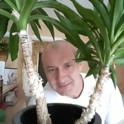 ���������� ������, ���� ������� ������, 52 ����, ������������ ��� ������, ����� � ���������