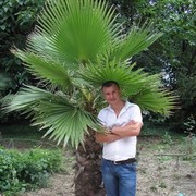 ���������� ����, ���� ������� �������, 43 ����, ������������ ��� ������, ����� � ���������, c�������� ���������