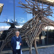 ���������� ������������, ���� ������� �����, 56 ���, ������������ ��� ������, ����� � ���������, c�������� ���������