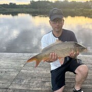 ���������� �����, ���� ������� �������, 35 ���, ������������ ��� c�������� ���������