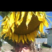 ���������� ���������, ���� ������� �������, 58 ���, ������������ ��� c�������� ���������