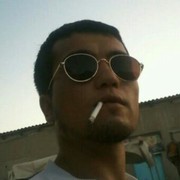  ,   Toxa mongol, 31 ,   