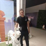 ���������� ��������, ���� ������� �����, 38 ���, ������������ ��� ����� � ���������, c�������� ���������