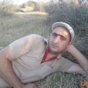  ,   Cefer, 40 ,   