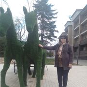 ���������� �����������, ���� ������� �����, 66 ���, ������������ ��� ������, ����� � ���������, ���������