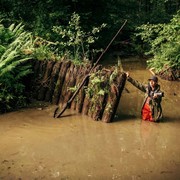 ���������� ���������, ���� ������� ������, 45 ���, ������������ ��� ����� � ���������, c�������� ���������