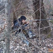  ,   Kravinski, 31 ,   