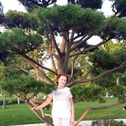 ��������� ���� ���������