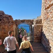 ���������� ��������, ���� ������� �����, 50 ���, ������������ ��� ������, ����� � ���������, c�������� ���������