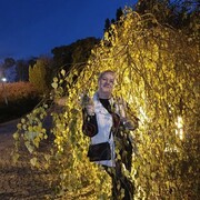 ���������� �����������, ���� ������� ������, 43 ����, ������������ ��� c�������� ���������