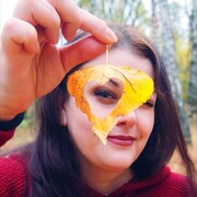  ,   , 37 ,   , 