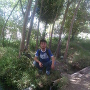  ,   Kamol, 34 ,   