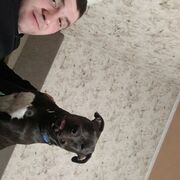 ���������� ������, ���� ������� ����, 31 ���, ������������ ��� ������, ����� � ���������