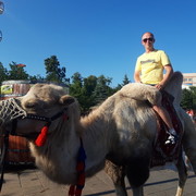 ���������� ������, ���� ������� �������, 36 ���, ������������ ��� ������, ����� � ���������, c�������� ���������