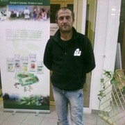  ,   , 51 ,   ,   