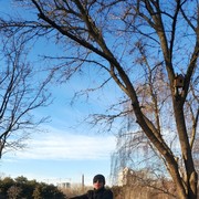 ���������� ������, ���� ������� ����, 41 ���, ������������ ��� ������, ����� � ���������, c�������� ���������